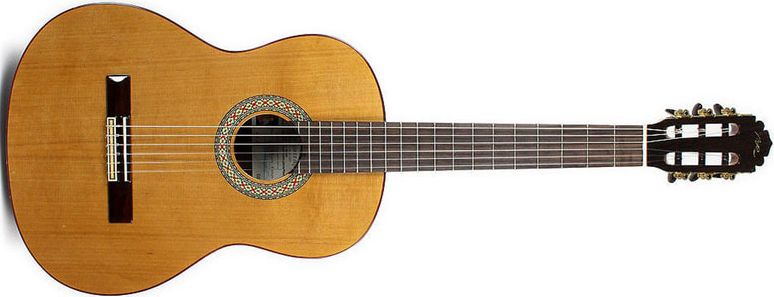 Torres Guitar 